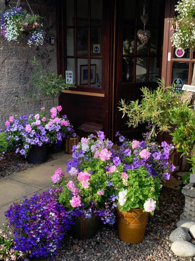 The Old Station Guest House St Andrews Exteriör bild
